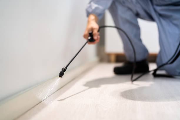 Licensed Pest Control service in Aberdeen, MS - Show Me Pest Control