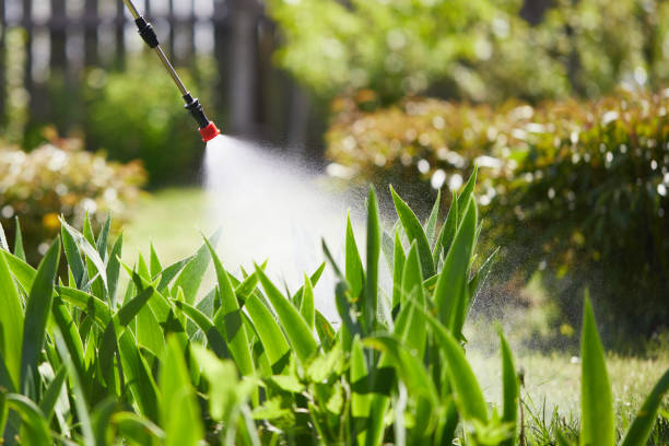 24/7 Emergency Wasp Removal experts in Aberdeen, MS