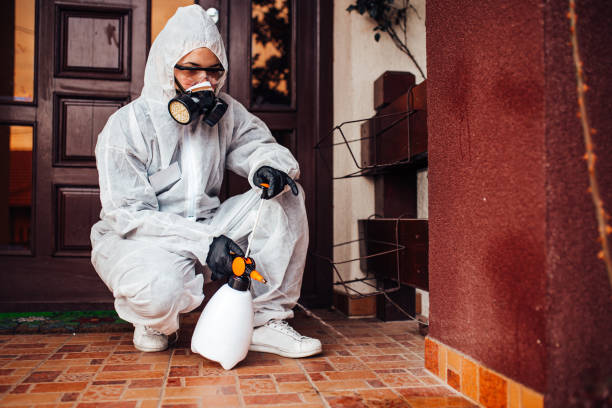 Reliable Wasp Removal contractor in Aberdeen, MS by Show Me Pest Control