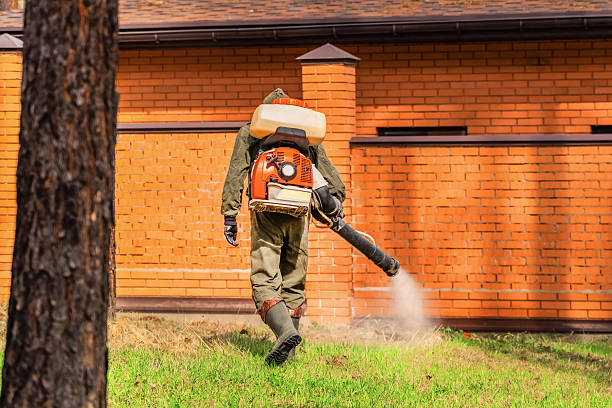 Top rated local Wasp Removal specialists in Aberdeen, MS
